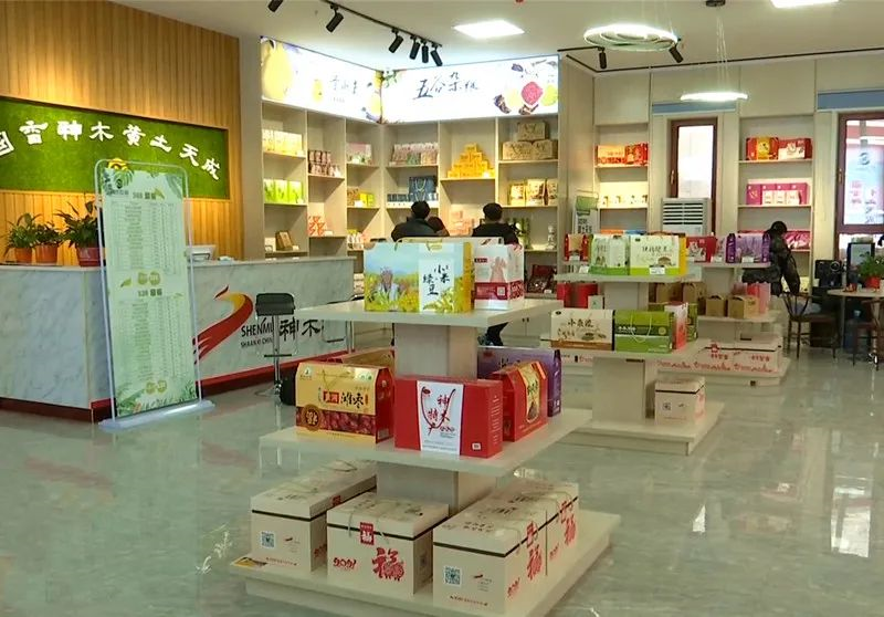 国香神木，黄土天成