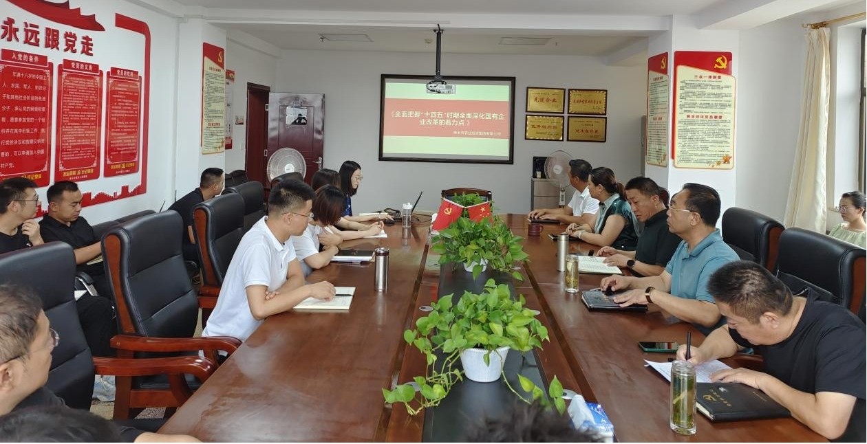 乐天使 开展《全面把握“十四五”时期全面深化国有企业改革的着