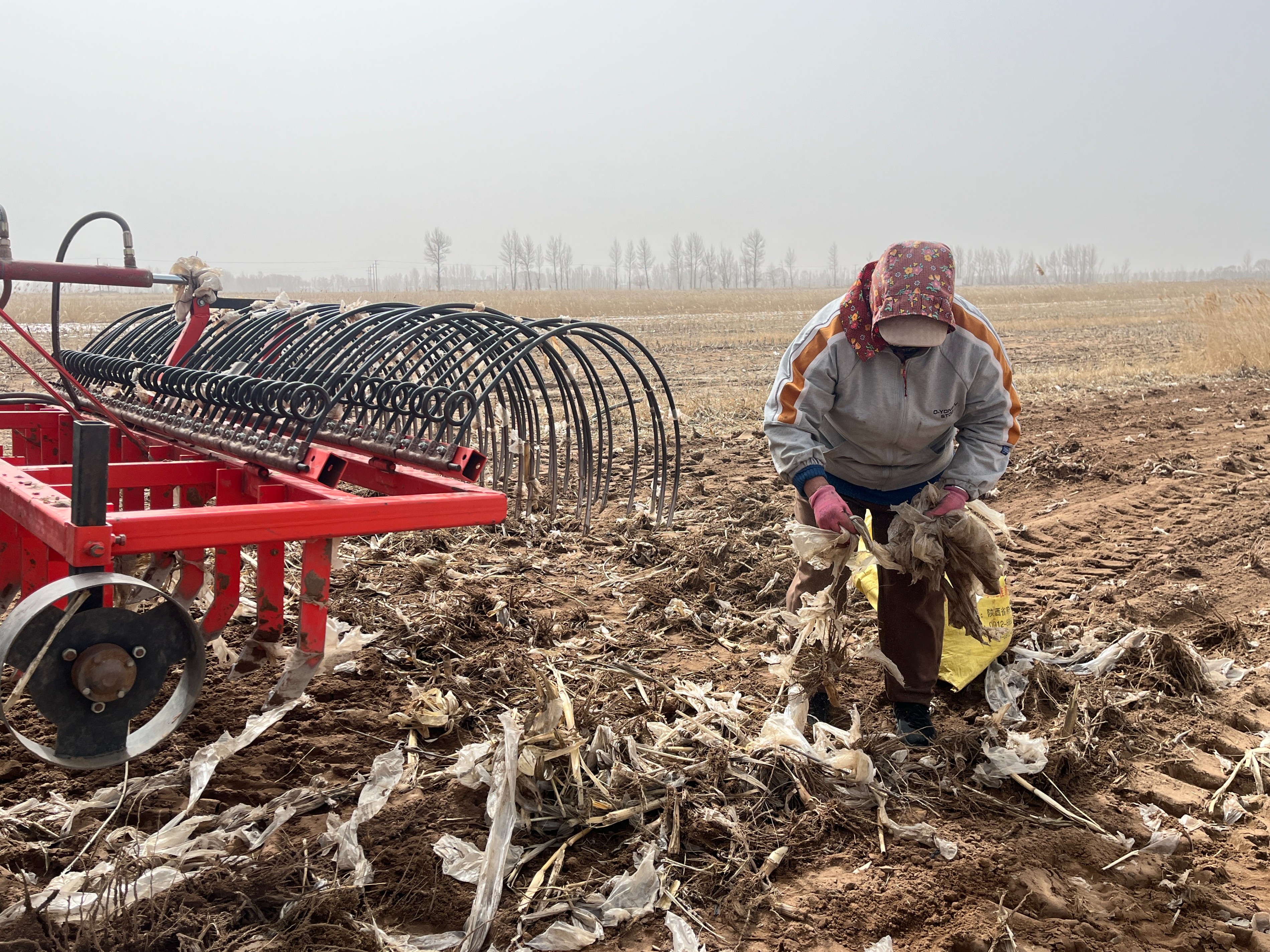 神木乐天使全力推进废旧地膜回收再利用 助力春耕绿色起航